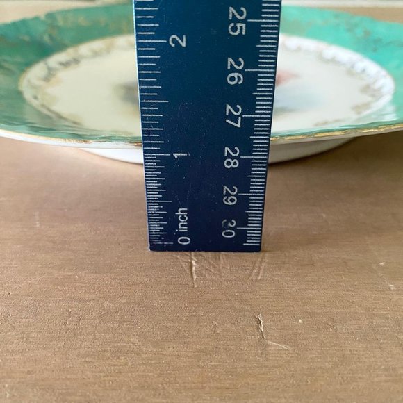 Antique Victoria Carlsbad Austria Signed FR. Stahl Raised Border Design Plate - Picture 7 of 9